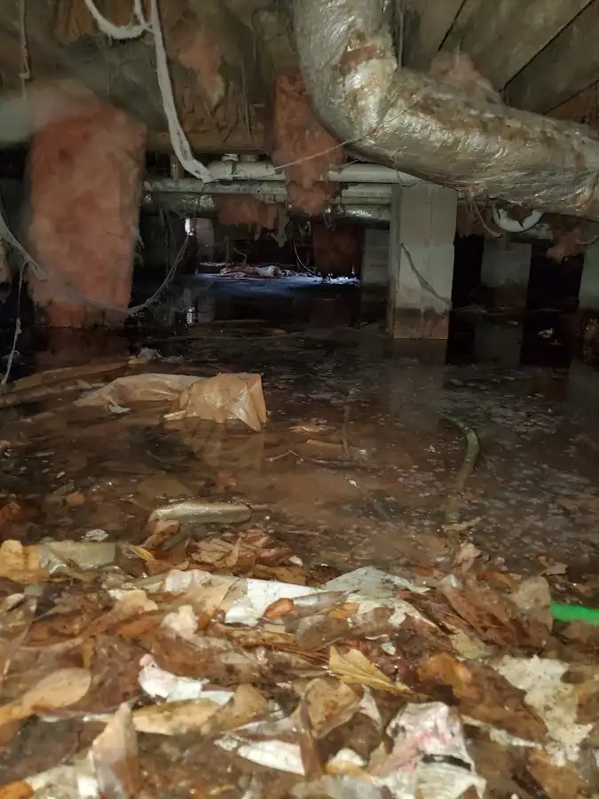 Crawl space flood assessment for Leak Detection & Repair in Wheeling