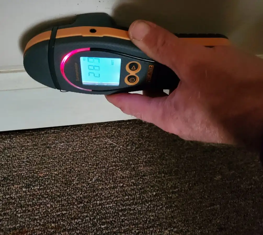 Moisture detection at baseboard during Sewage Cleanup & Sanitation in Wheeling